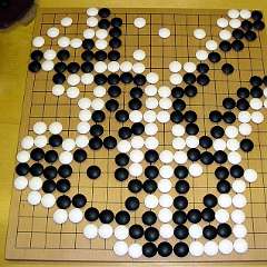19: pic24504