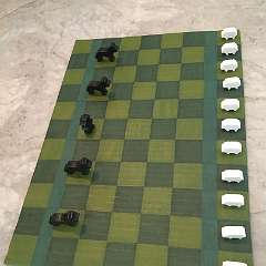 7: pic6414558